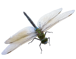 0902620m-d709-310x241.png