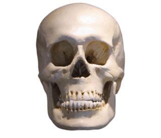 0902622e-8862-320x274.png