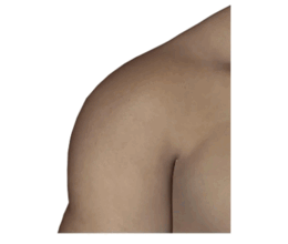 0902622i-a621-260x220.png