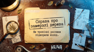 Справа про замерзлі дерева. Як тропічні рослини підкорила холод