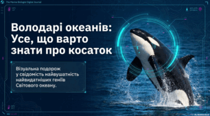 Косатки: Інтелект, культура та таємниці морських титанів
