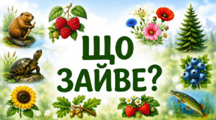Що зайве? З поясненням