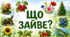 Що зайве? З поясненням