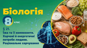 Їжа та її компоненти. Харчові й енергетичні потреби людини. Раціональне харчування. Презентація, інфографіка, робочий аркуш