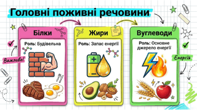 0902638n-2e42-402x226.png