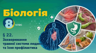 Захворювання травної системи людини та їхня профілактика. Презентація, інфографіка, робочий аркуш