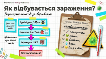 0902639t-91b5-408x230.png