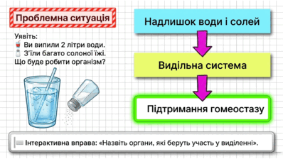 090263bh-7612-398x224.png