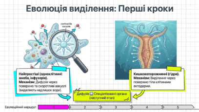 090263bl-e063-408x230.png