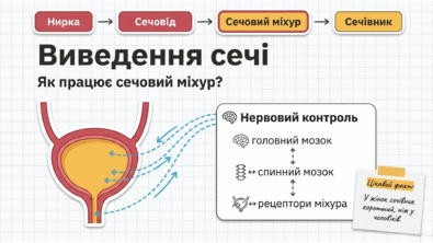 090263ch-0f77-395x222.png