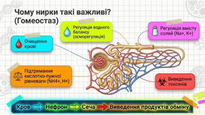 090263cv-4182-399x225.png