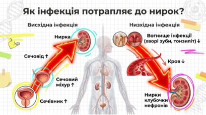 090263cw-5fb1-409x230.png
