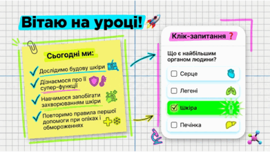 090263d4-118b-391x220.png