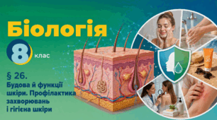 Будова й функції шкіри. Профілактика захворювань і гігієна шкіри. Презентація, інфографіка, робочий аркуш