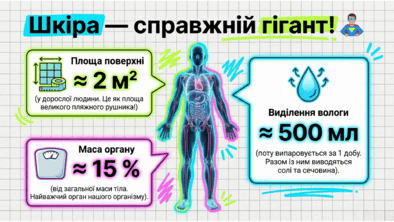 090263d7-efca-394x222.png