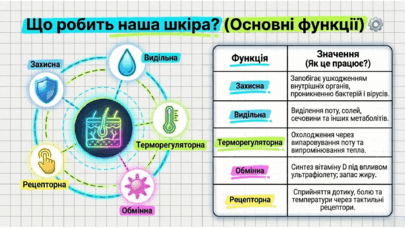 090263d8-c534-405x228.png