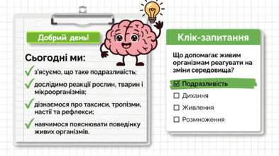 090263dv-e86b-393x221.png