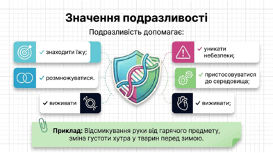 090263dy-77a3-393x221.png