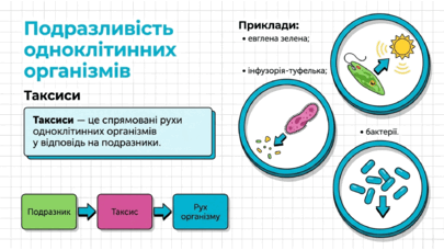 090263dz-61dc-405x228.png
