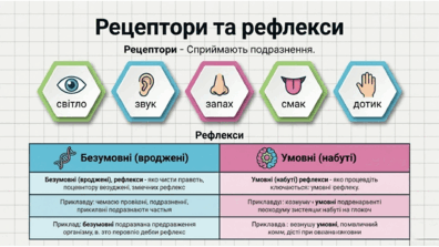090263e2-dc85-396x223.png