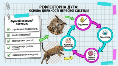090263et-5fb2-396x223.png