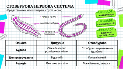 090263ev-bcdf-405x228.png