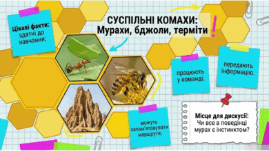 090263ew-4dd0-390x220.png