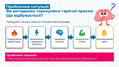 090263fg-5271-402x226.png