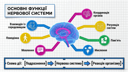 090263fj-284c-408x230.png