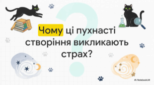 Чорний кіт: історія, міфи, факти та день захисту улюбленців