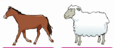 090264wo-65b4-400x170.png