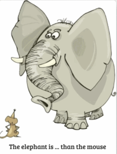 090264yz-b508-237x311.png