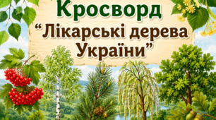 Кросворд «Лікарські дерева України»