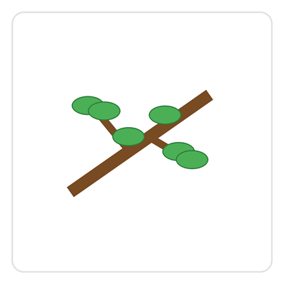090265s2-d2c3-398x398.png