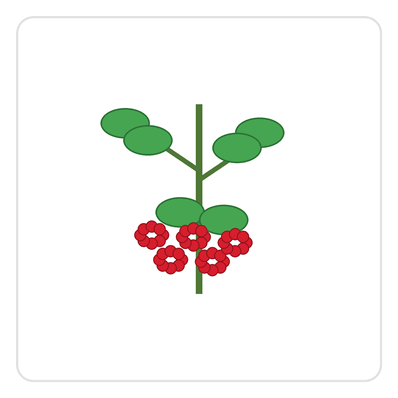 090265su-f640-398x398.png