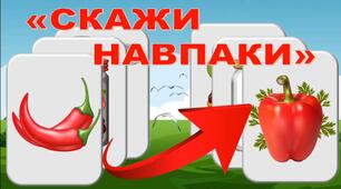«Скажи навпаки» (антоніми)