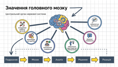 090266p5-29f1-390x220.png