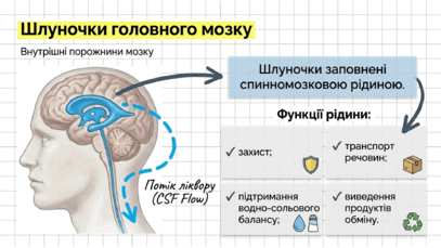 090266p6-3fbf-407x229.png