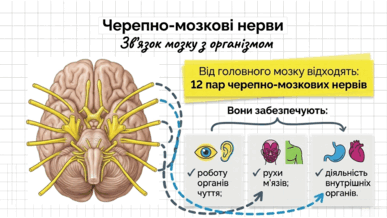 090266p9-159b-387x218.png
