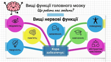 090266pc-8ad1-386x217.png