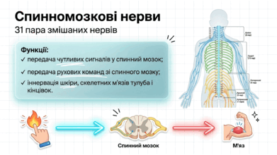 090266pz-8bc0-391x220.png