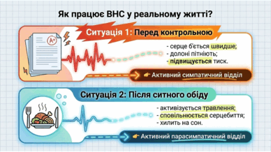 090266q6-e353-388x218.png