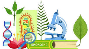 Обмін речовин і енергії у клітині.