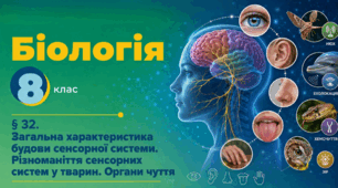 Загальна характеристика будови сенсорної системи. Різноманіття сенсорних систем у тварин. Органи чуття. Презентація, інфографіка, робочий аркуш
