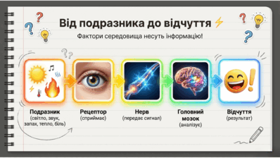 090266xz-10df-398x224.png