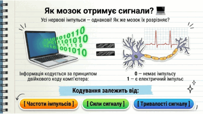 090266y1-b0d1-400x225.png