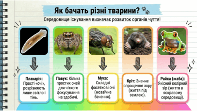 090266y2-7d28-406x229.png