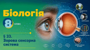 Сенсорні системи слуху та рівноваги. Презентація, інфографіка, робочий аркуш