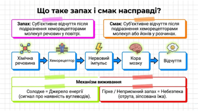 090267s3-e974-397x223.png