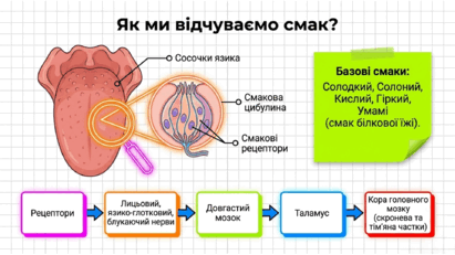 090267s4-3e9b-411x231.png